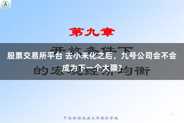 股票交易所平台 去小米化之后，九号公司会不会成为下一个大疆？