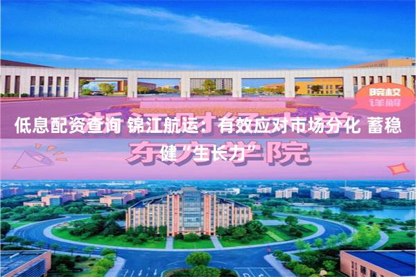 低息配资查询 锦江航运：有效应对市场分化 蓄稳健“生长力”