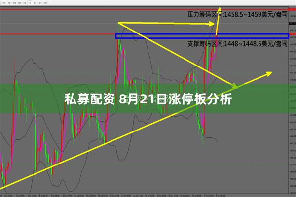 私募配资 8月21日涨停板分析