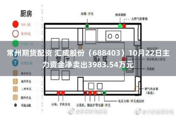 常州期货配资 汇成股份（688403）10月22日主力资金净卖出3983.54万元