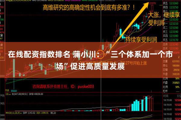 在线配资指数排名 蒲小川：“三个体系加一个市场”促进高质量发展