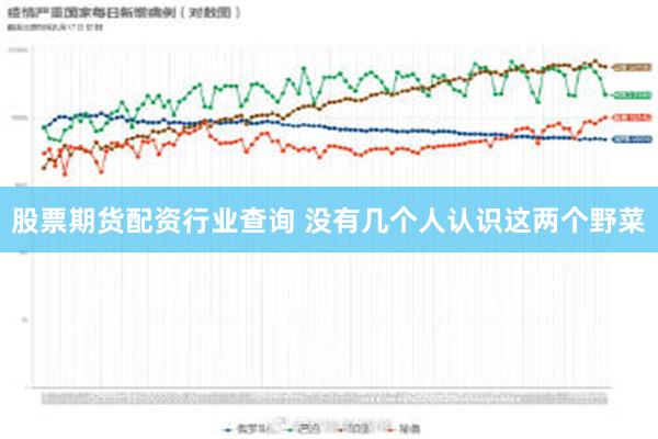 股票期货配资行业查询 没有几个人认识这两个野菜