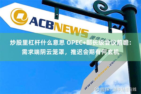 炒股里杠杆什么意思 OPEC+部长级会议前瞻：需求端阴云笼罩，推迟会期有何玄机