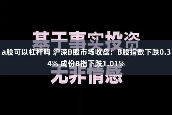 a股可以杠杆吗 沪深B股市场收盘：B股指数下跌0.34% 成份B指下跌1.01%